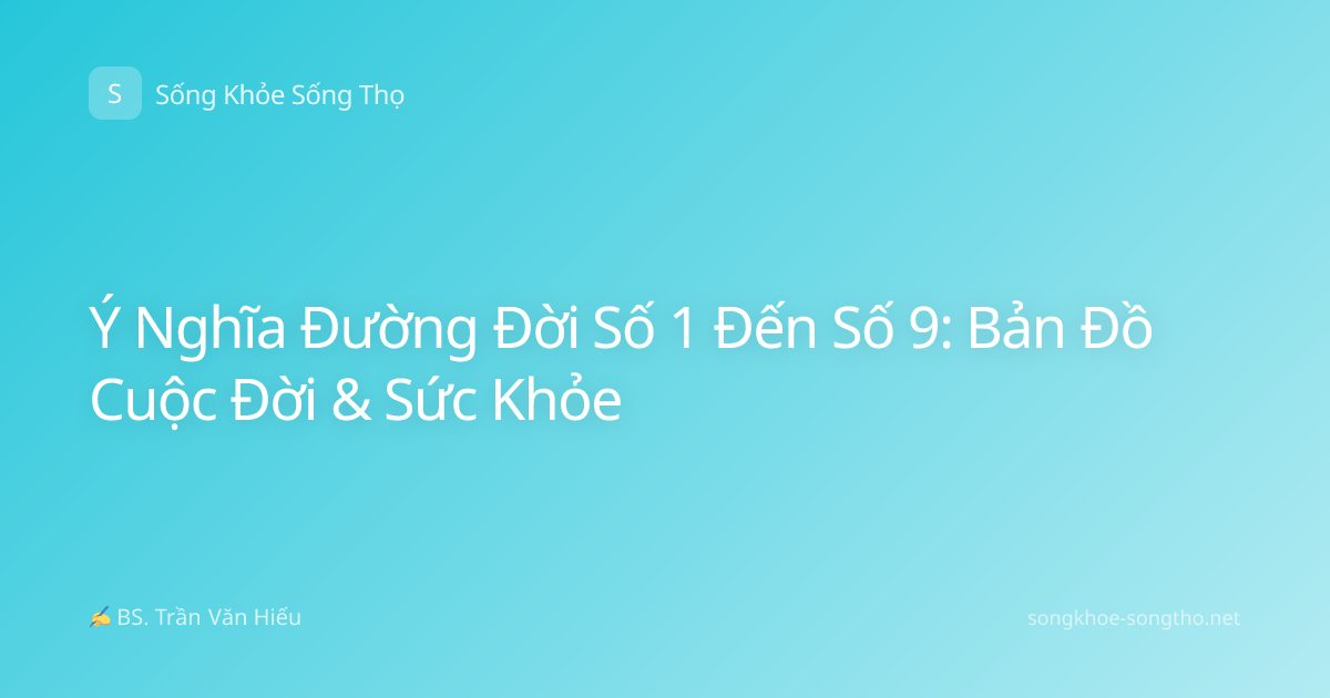 Ý Nghĩa Đường Đời Số 1 Đến Số 9: Bản Đồ Cuộc Đời & Sức Khỏe